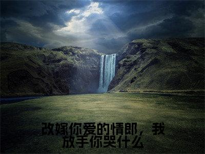 改嫁你爱的情郎，我放手你哭什么小说全文免费阅读无弹窗大结局_（顾娇娇苏泽免费阅读无弹窗）最新章节列表_笔趣阁