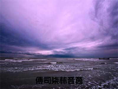 傅司柒林音茵全文(林音茵傅司柒)全文免费阅读无弹窗大结局_林音茵傅司柒全文免费阅读最新章节列表
