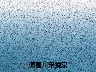 宋挽棠傅寒川为宋挽棠傅寒川的小说叫什么-最新小说傅寒川宋挽棠全文阅读
