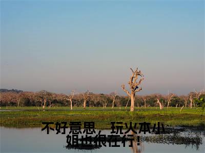 主人公叫(墨尘胤叶之宁)的小说(不好意思,玩火本小姐也很在行!)全文免费阅读最新章节列表_笔趣阁
