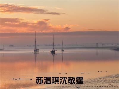 苏温琪沈敬霆全文最新章节(沈敬霆苏温琪)全文免费阅读无弹窗大结局_沈敬霆苏温琪免费阅读