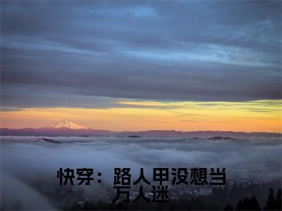 扶爻今日阅读更新,快穿:路人甲没想当万人迷全文在线看