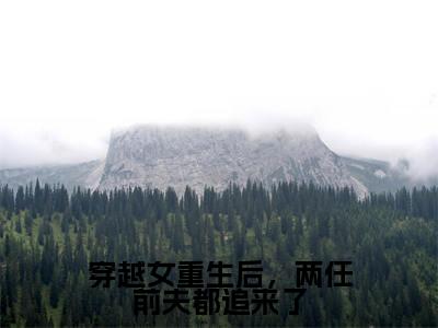 苏冰尘精彩小说-穿越女重生后,两任前夫都追来了全章节免费阅读