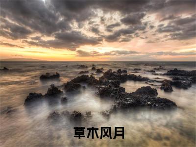 凌苒陈筠元(草木风月)全文免费阅读无弹窗大结局_凌苒陈筠元全文免费阅读