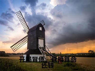 开局背债,直播算命还钱(姬钰全文在线阅读)-开局背债,直播算命还钱小说(姬钰)免费阅读最新章节列表无弹窗