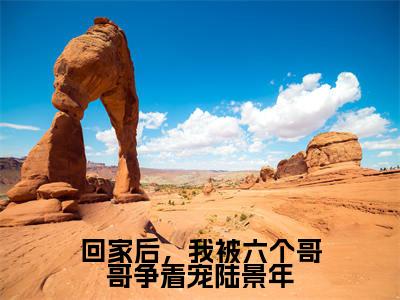 回家后，我被六个哥哥争着宠陆景年在线阅读（陆景年）全文免费阅读无弹窗大结局_陆景年最新章节列表笔趣阁（回家后，我被六个哥哥争着宠陆景年）