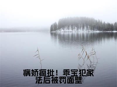 病娇疯批!乖宝犯家法后被罚面壁全文(商赫臣姜幼)全文免费阅读无弹窗大结局_(商赫臣姜幼)最新章节列表