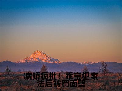 病娇疯批！乖宝犯家法后被罚面壁小说最新章节在线阅读_病娇疯批！乖宝犯家法后被罚面壁在线阅读