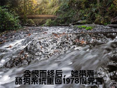 (林慕雪周霁言)全文免费阅读无弹窗大结局_含恨而终后,她带着舔狗系统重回1978周霁言完整版最新阅读_笔趣阁(林慕雪周霁言)