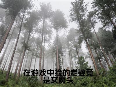 在游戏中捡的老婆竟是女魔头小说(宋烨)全文免费阅读_(宋烨)在游戏中捡的老婆竟是女魔头最新章节列表笔趣阁