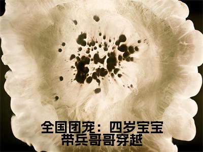 全国团宠：四岁宝宝带兵哥哥穿越小说好看吗全国团宠：四岁宝宝带兵哥哥穿越热门推荐小说（沐晨）全章节阅读_笔趣阁