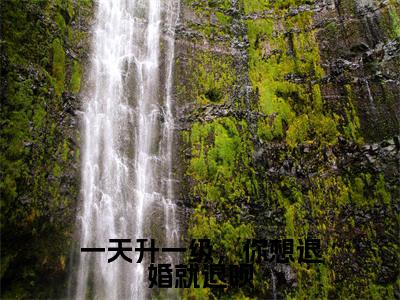 一天升一级,你想退婚就退呗免费小说_林尘免费最新章节列表_笔趣阁