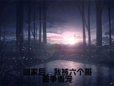 回家后,我被六个哥哥争着宠全文免费阅读_(陆景年免费阅读无弹窗)回家后,我被六个哥哥争着宠最新章节在线阅读笔趣阁