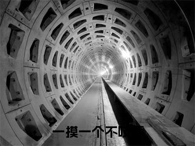 一摸一个不吱声(南枝)小说全文免费阅读无弹窗大结局_(南枝免费阅读)一摸一个不吱声最新章节列表笔趣阁