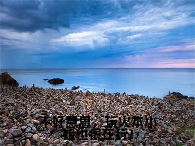 叶之宁墨尘胤小说全文免费阅读大结局-不好意思,玩火本小姐也很在行!最新章节列表免费阅读