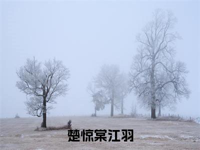 江羽楚惊棠(楚惊棠江羽)全文免费阅读无弹窗大结局_楚惊棠江羽(江羽楚惊棠无弹窗)_笔趣阁