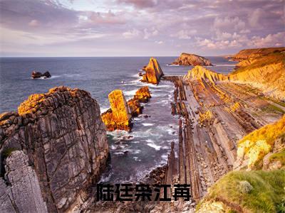 江苒陆廷枭小说(陆廷枭江苒)全文免费阅读无弹窗大结局_陆廷枭江苒小说最新章节_笔趣阁(江苒陆廷枭)