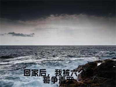回家后,我被六个哥哥争着宠全文免费在线阅读_(陆景年全文免费阅读无弹窗大结局)回家后,我被六个哥哥争着宠最新章节列表笔趣阁