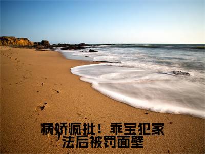 病娇疯批!乖宝犯家法后被罚面壁全文免费阅读大结局-(姜幼商赫臣)最新章节列表在线阅读