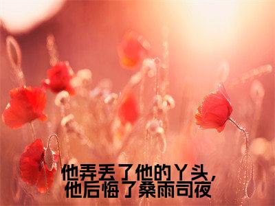 桑雨司夜(他弄丢了他的丫头,他后悔了桑雨司夜)女生必看小说全集_他弄丢了他的丫头,他后悔了桑雨司夜(桑雨司夜)全文免费阅读