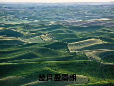 楚月盈秦朗小说(楚月盈秦朗)全文免费阅读无弹窗_(楚月盈秦朗)楚月盈秦朗最新章节列表
