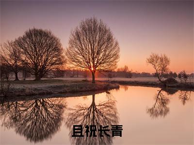 且祝长青(苏青陈述尧)全文免费阅读_(苏青陈述尧)最新章节小说免费阅读(且祝长青)