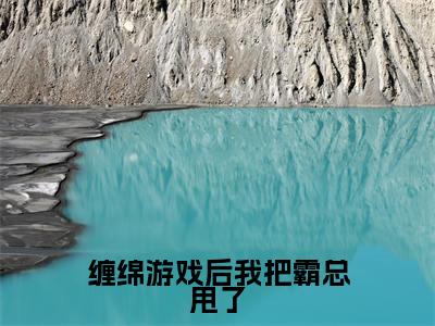缠绵游戏后我把霸总甩了(梁数林旭)免费小说-缠绵游戏后我把霸总甩了小说完整版阅读