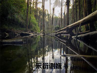 小说宋衍谢姝(宋衍谢姝)免费阅读-小说宋衍谢姝全文在线赏析