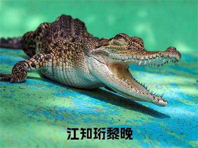 江知珩黎晚最新章节(江知珩黎晚)全文免费阅读无弹窗大结局_江知珩黎晚小说全文免费阅读正版无弹窗