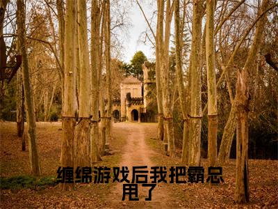 热门小说梁数林旭全文免费阅读无弹窗大结局-缠绵游戏后我把霸总甩了全文无弹窗免费阅读大结局
