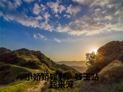 小娇娇嫁到,残王站起来宠(帝懿云惊凰)全文免费阅读无弹窗-帝懿云惊凰小说完整版在线阅读