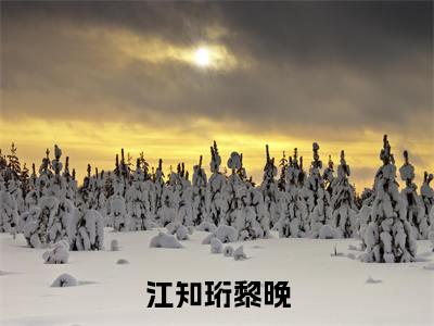 后续+全集江知珩黎晚(完整版)热文小说阅读-江知珩黎晚全文抖音热推