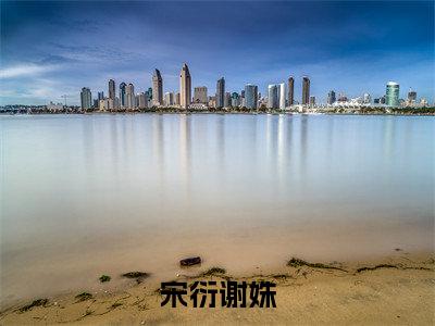 宋衍谢姝(宋衍谢姝)小说最新章节在线阅读-宋衍谢姝(宋衍谢姝)已完结全集大结局