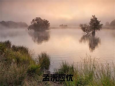 孟沅应忱(孟沅应忱)全文免费阅读无弹窗大结局_孟沅应忱小说最新章节列表_笔趣阁