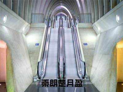 秦朗楚月盈（楚月盈秦朗）免费阅读无弹窗-小说秦朗楚月盈大结局全文免费阅读