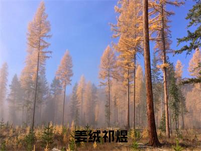 姜绒祁煜免费小说-(姜绒祁煜)姜绒祁煜完结版在线阅读