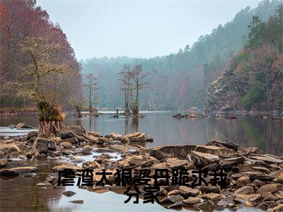 虐渣太狠婆母跪求我分家全文免费阅读无弹窗-(姜九月)虐渣太狠婆母跪求我分家最新章节列表在线阅读