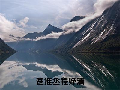 程妤清楚淮丞小说(楚淮丞程妤清)全文免费读无弹窗大结局_程妤清楚淮丞小说免费阅读-笔趣阁(楚淮丞程妤清)