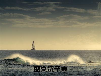 盛夏沈辛夷(沈辛夷盛夏)全文免费阅读无弹窗大结局_盛夏沈辛夷最新章节列表(沈辛夷盛夏)