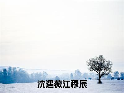 江穆辰沈遇薇(沈遇薇江穆辰)精选小说大结局阅读-抖音新书热荐江穆辰沈遇薇