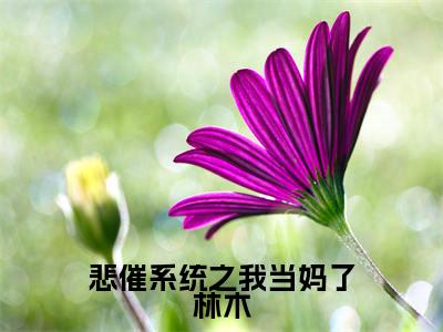 悲催系统之我当妈了林木(林木)完结版小说-悲催系统之我当妈了林木小说全文免费阅读笔趣阁