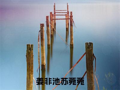 姜非池苏菀菀结局_(苏菀菀姜非池)姜非池苏菀菀最新章节列表_笔趣阁