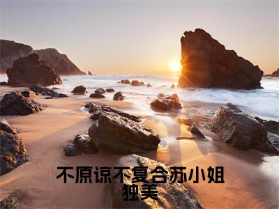 不原谅不复合苏小姐独美(苏雨眠江易淮)小说全文免费阅读无弹窗-不原谅不复合苏小姐独美小说全文免费阅读大结局笔趣阁
