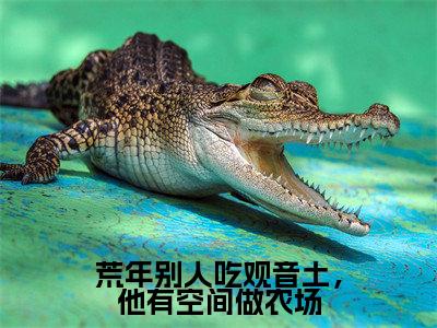 (荒年别人吃观音土,他有空间做农场)全网热搜是什么小说_荒年别人吃观音土,他有空间做农场小说(林昆仑)热门章节阅读无弹窗_笔趣阁(林昆仑)