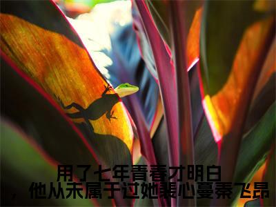 用了七年青春才明白,他从未属于过她裴心蔓秦飞昂(裴心蔓秦飞昂)全文免费阅读无弹窗大结局_用了七年青春才明白,他从未属于过她裴心蔓秦飞昂最新章节列表