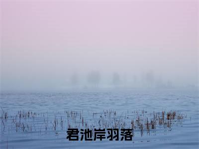君池岸羽落(羽落君池岸)全文免费阅读大结局_羽落君池岸免费在线阅读无删减