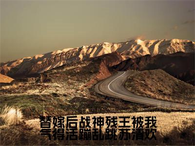 苏清欢小说全文免费阅读_苏清欢(替嫁后战神残王被我气得活蹦乱跳苏清欢)最新章节列表笔趣阁