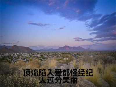 顶流陷入爱都怪经纪人过分美丽精选热门好书-顶流陷入爱都怪经纪人过分美丽(谢云川厉之薇)全文无删减版在线阅读