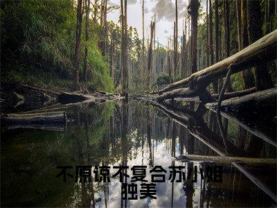 苏雨眠江易淮(不原谅不复合苏小姐独美)全文免费阅读无弹窗大结局_不原谅不复合苏小姐独美_笔趣阁