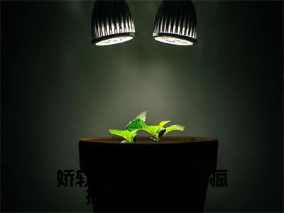 慕南玥(娇软美人爱撒娇,疯批大佬折了腰)全文免费慕南玥读无弹窗大结局_慕南玥免费娇软美人爱撒娇,疯批大佬折了腰读最新章节列表_笔趣阁
